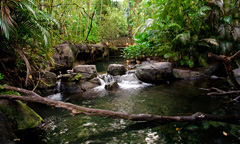 The Oasis Exhibits